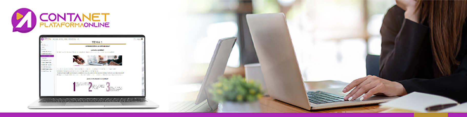 Funcionamiento de la Plataforma Online 